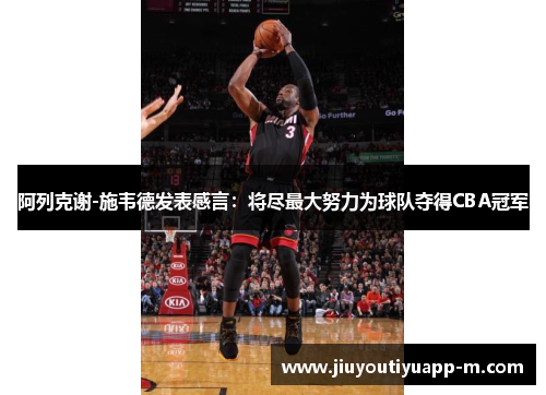 阿列克谢-施韦德发表感言：将尽最大努力为球队夺得CBA冠军